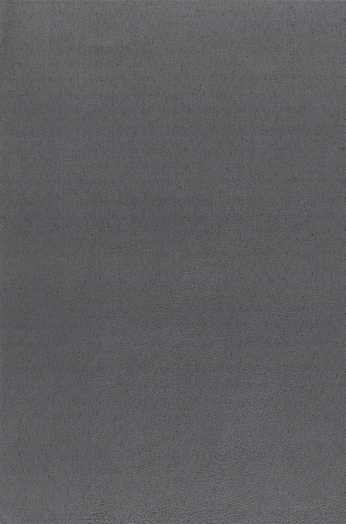 NICHOLASJOHN INC. Natural - Textured Wallcoverings SUEDE - NJ25TF1548