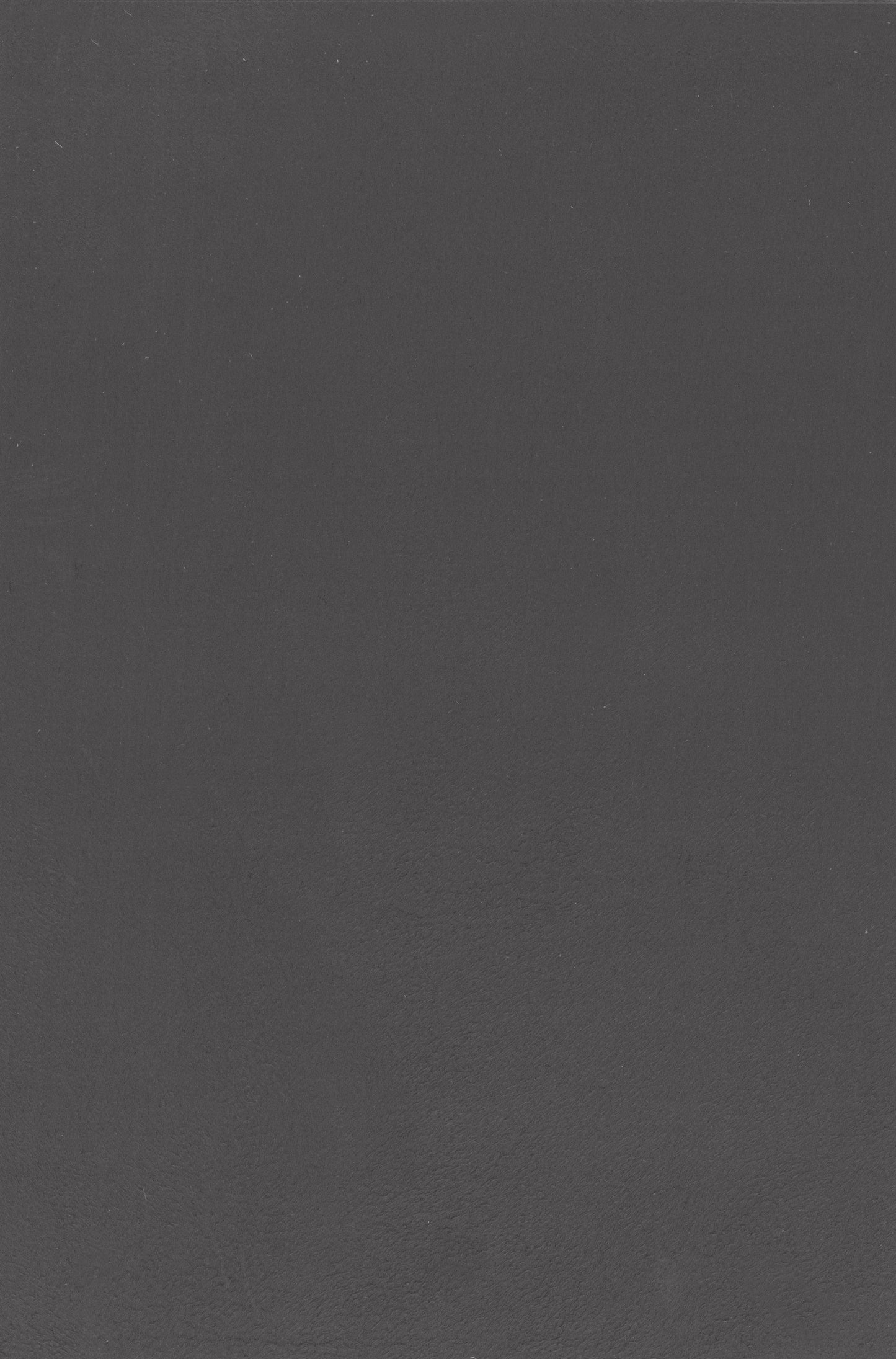 NICHOLASJOHN INC. Natural - Textured Wallcoverings SUEDE - NJ25TF1555