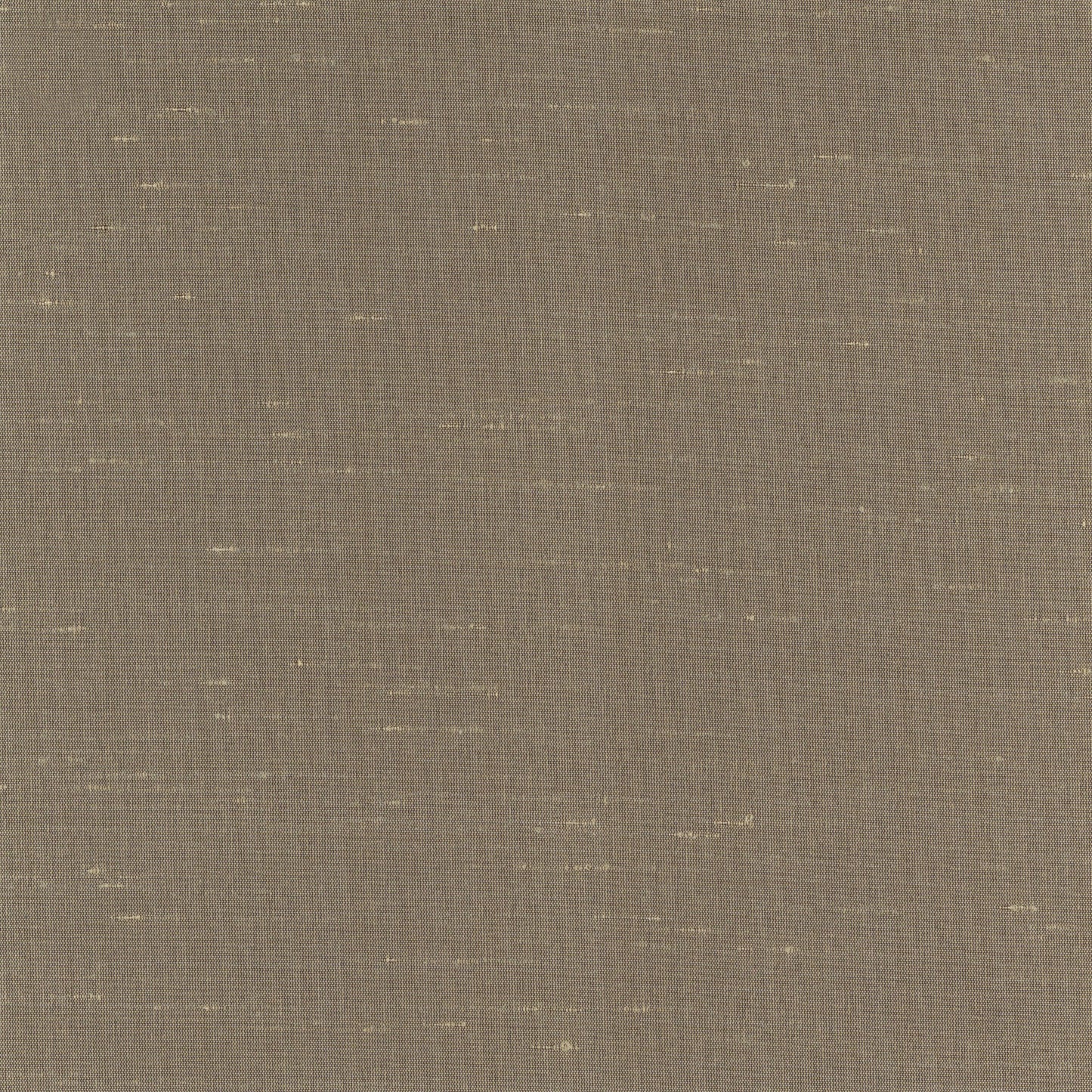 NICHOLASJOHN INC. Natural - Textured Wallcoverings 100%Polyester - NJ25TF3023
