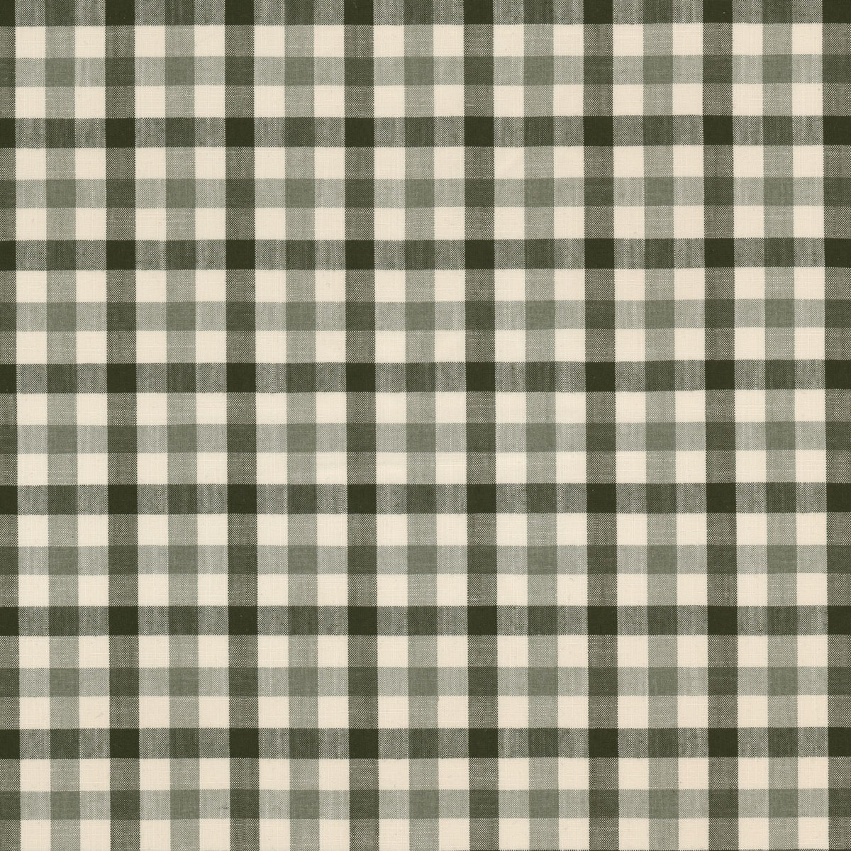STOUT TEXTILES MULTIPURPOSE,WOVENS TRADITIONAL, PLAID/CHECK DILL - TWYL-1