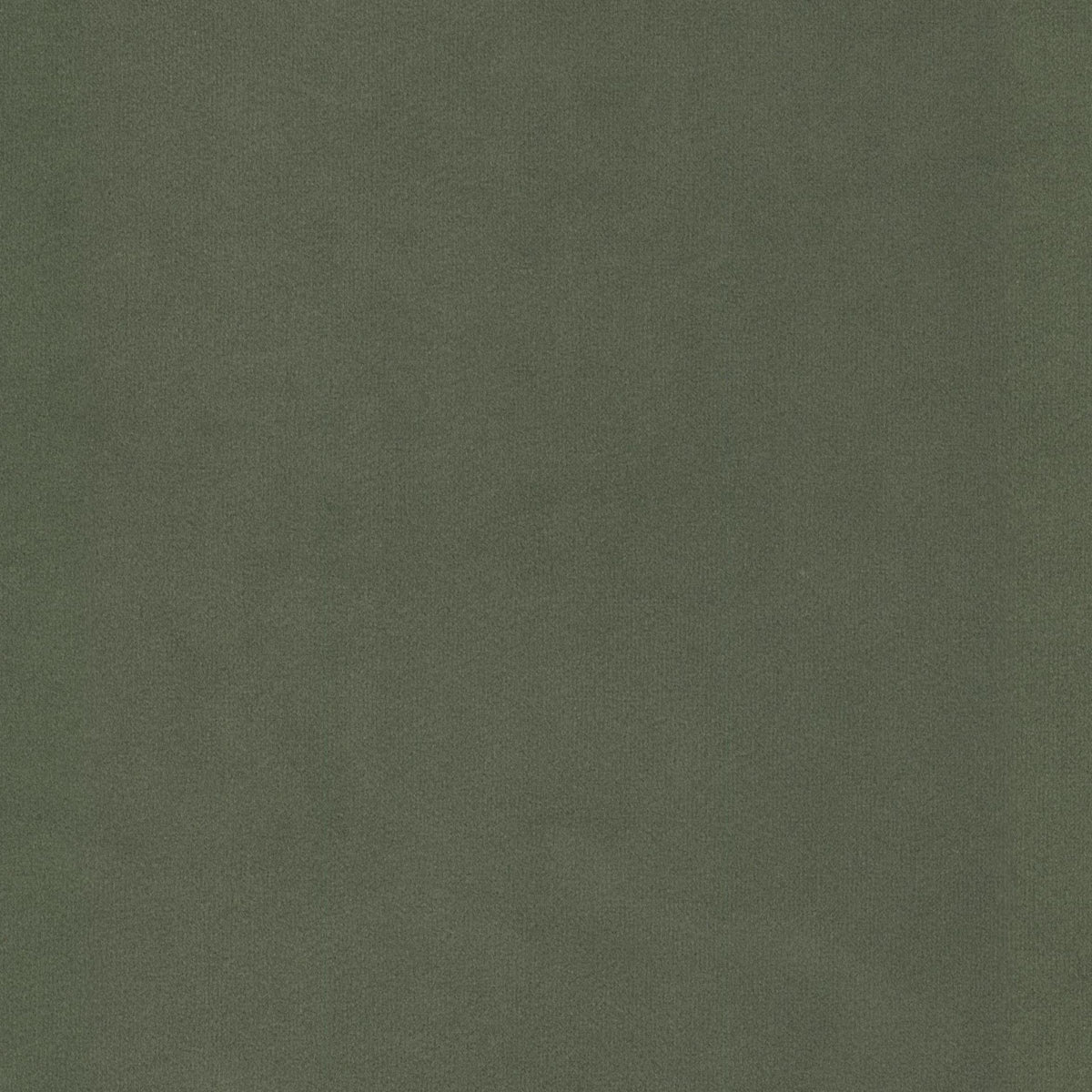 STOUT TEXTILES MULTIPURPOSE,VELVET TRADITIONAL, SOLID FERN,MOSS - UNIV-2
