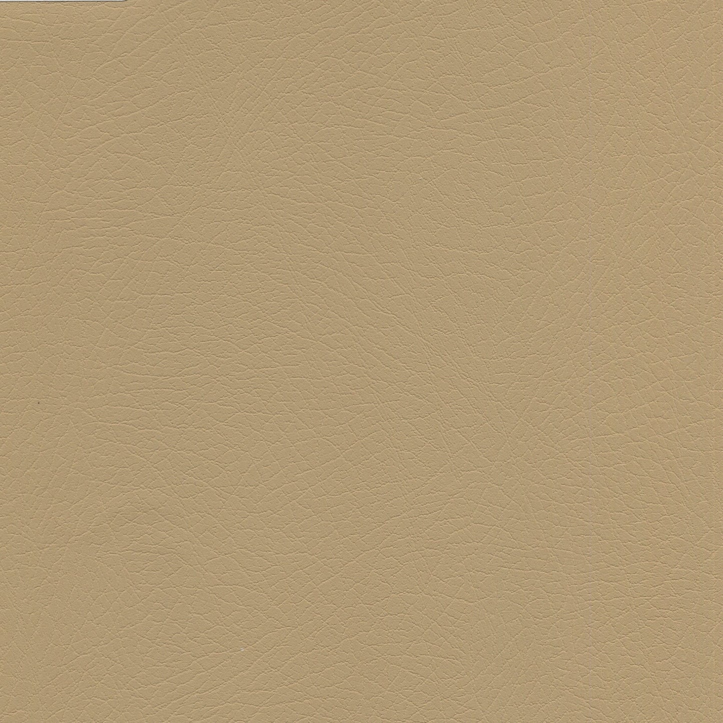 Tan solid fabric swatch with a fine grain pattern.
