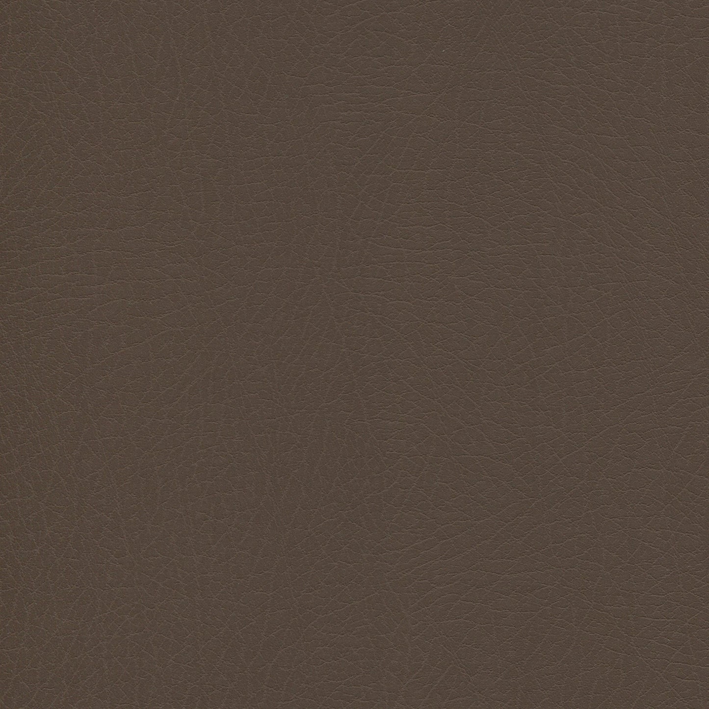 Jasper brown fabric texture with natural grain pattern, suitable for upholstery or accessories.