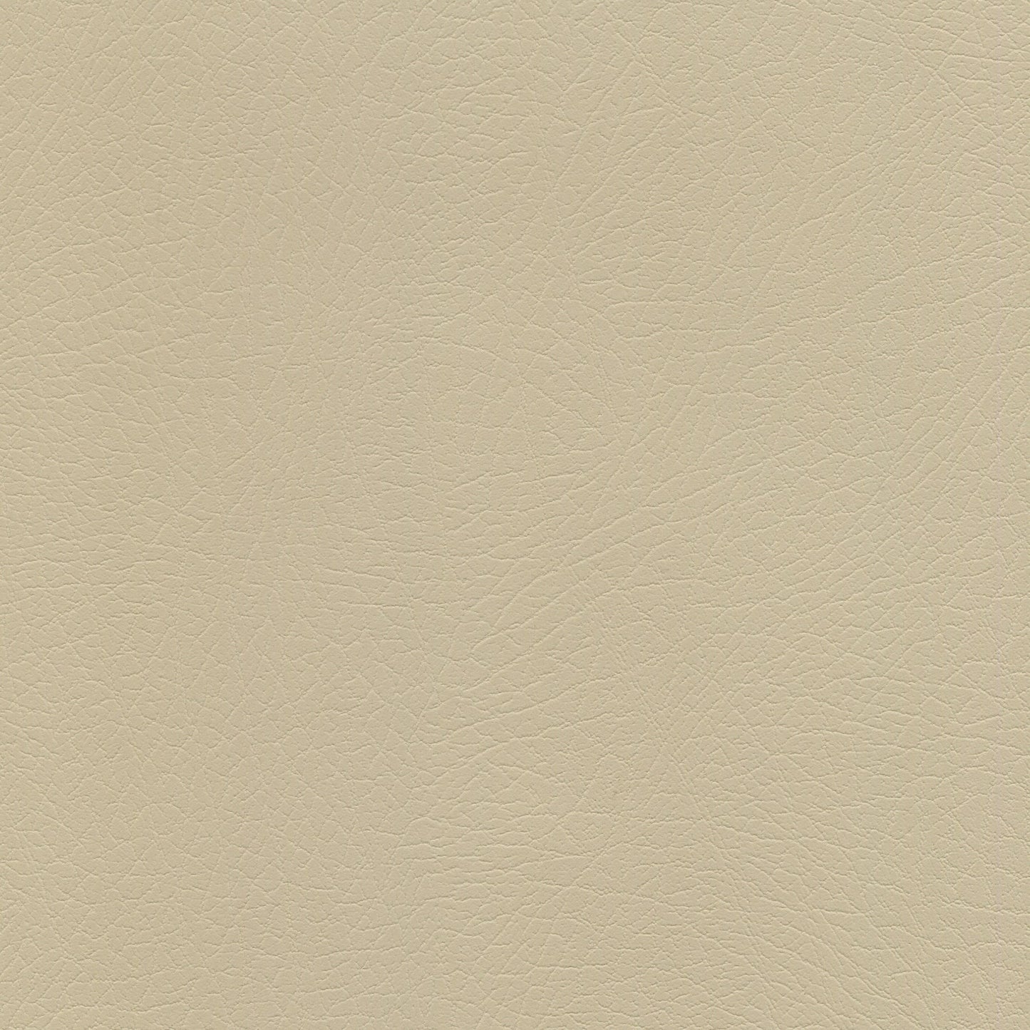 NICHOLASJOHN INC NJ-VOQUE Beige Solid Fabric - NJ25-3619