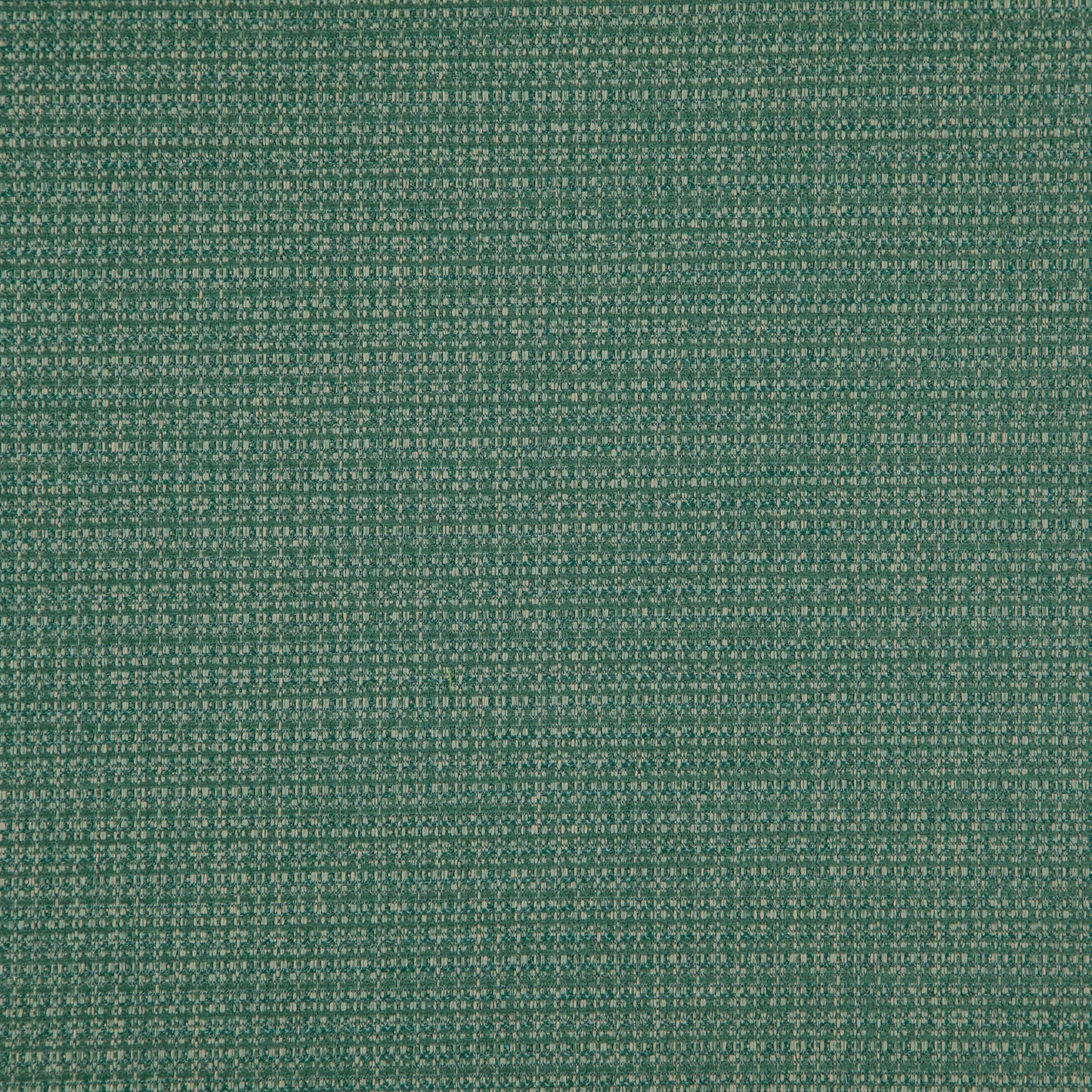 Close-up of green chenille fabric with a tight weave.