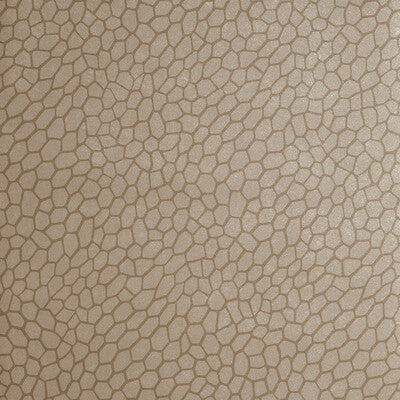 CLARKE AND CLARKE PLAYA PRINT--METALLIC-TEXTURE ANTIQUE - W0058/01.CAC.0 OUTLET