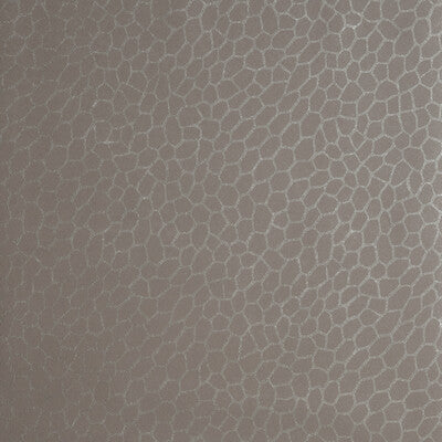 CLARKE AND CLARKE PLAYA PRINT--METALLIC-TEXTURE ATMOSPHERE - W0058/02.CAC.0 OUTLET