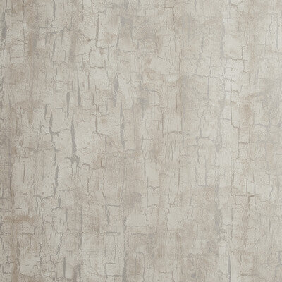 CLARKE AND CLARKE TREE BARK PRINT--SOLID-TEXTURE PARCHMENT - W0062/03.CAC.0 OUTLET