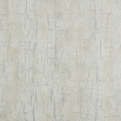 CLARKE AND CLARKE TREE BARK PRINT--SOLID-TEXTURE PEARL - W0062/04.CAC.0 OUTLET
