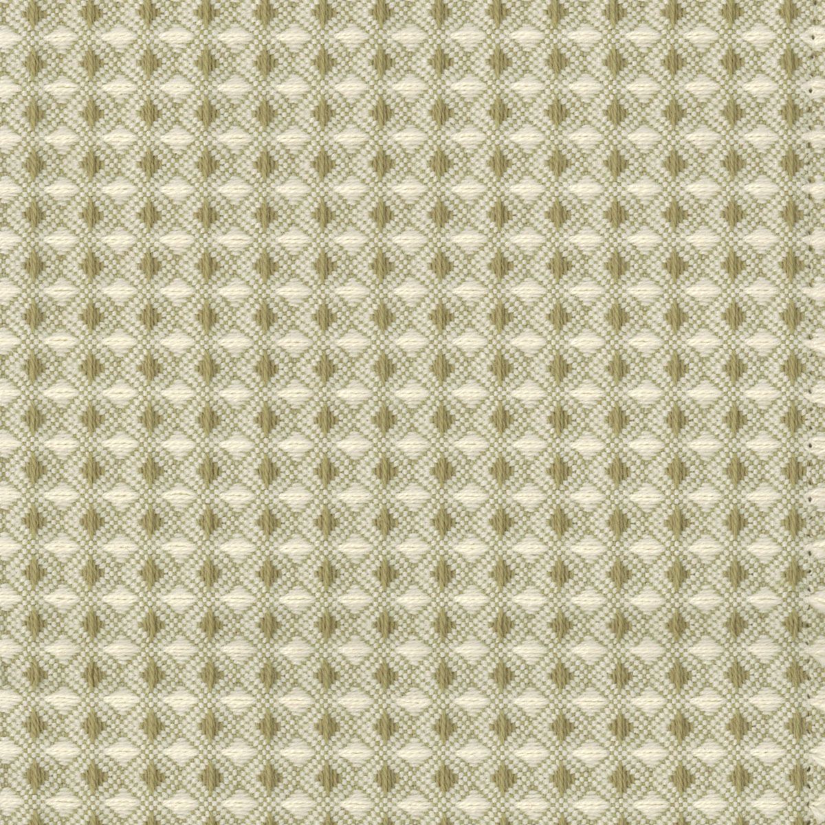 SCALAMANDRE OUTLET FABRIC PERMIAN FABRIC GRASS - WC 0001U912 NEW SKU # WCU9120001