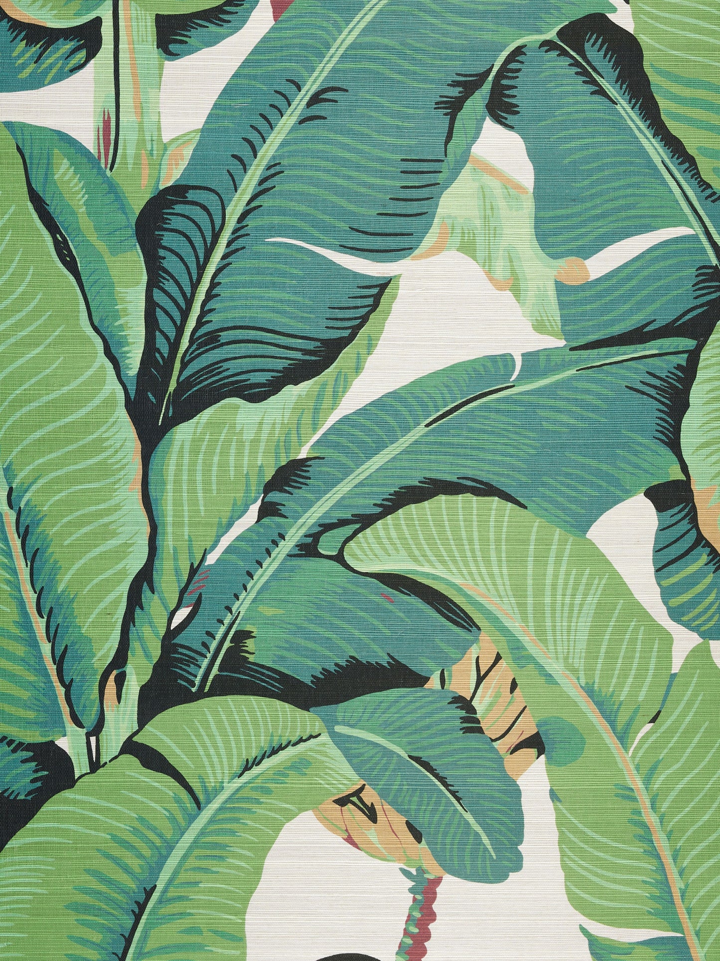 Bold tropical banana leaf print in layered greens on a pale background; botanical fabric/wallcovering.