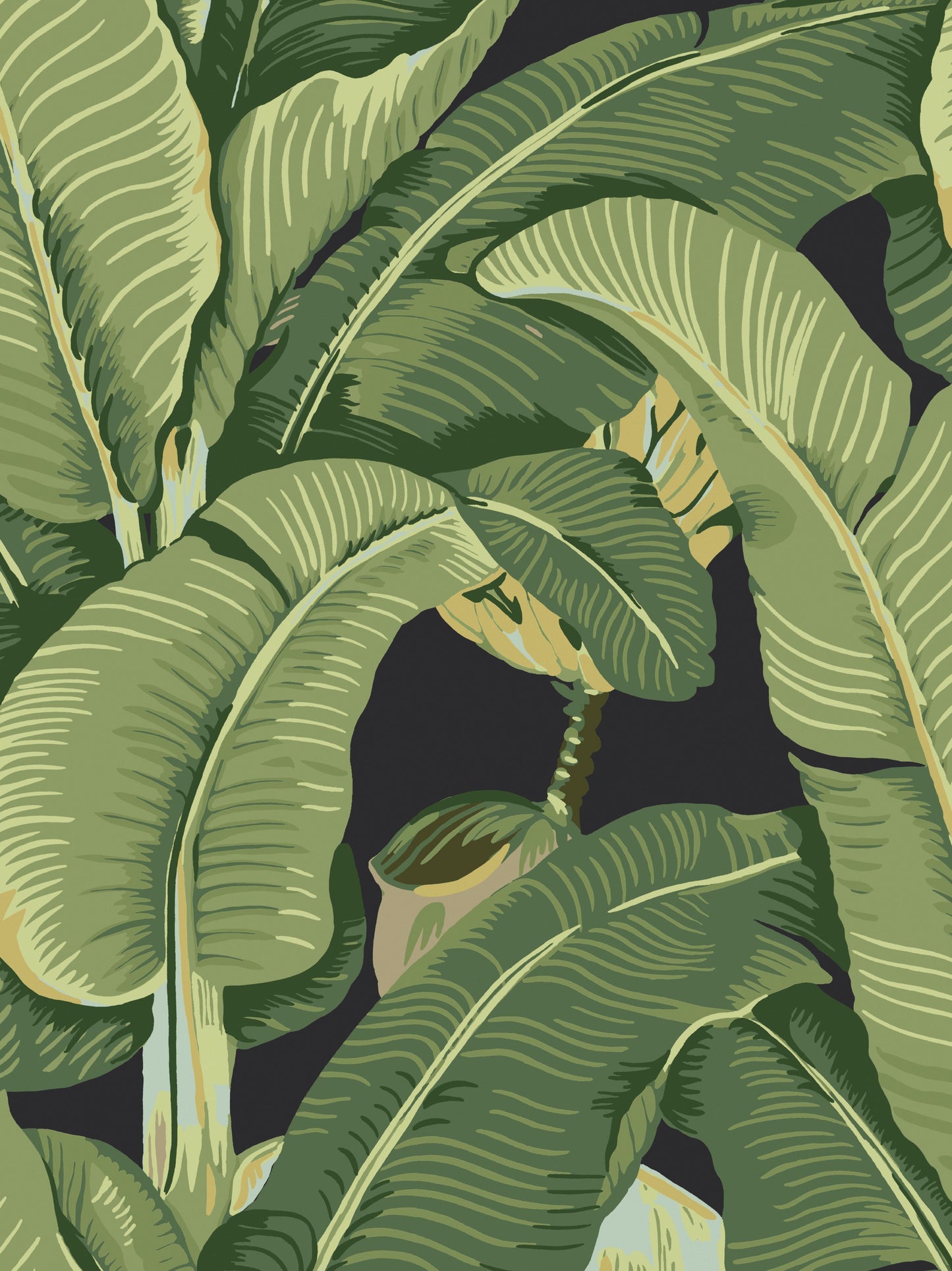Bold tropical banana leaf pattern in green shades on a dark background, ideal for wallpaper.