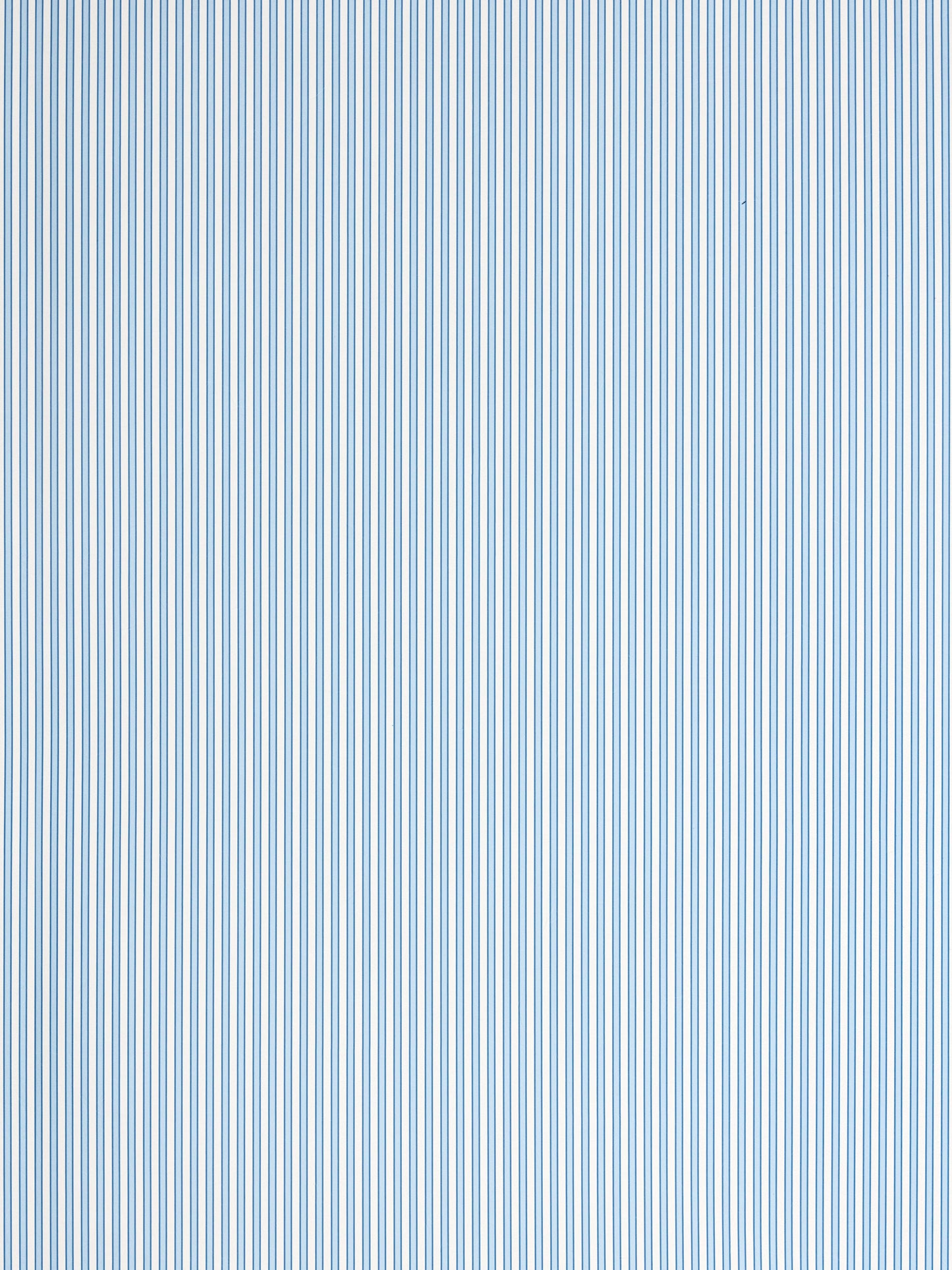 Blue and white vertical striped fabric pattern; lightweight textile suitable for shirts or home decor.
