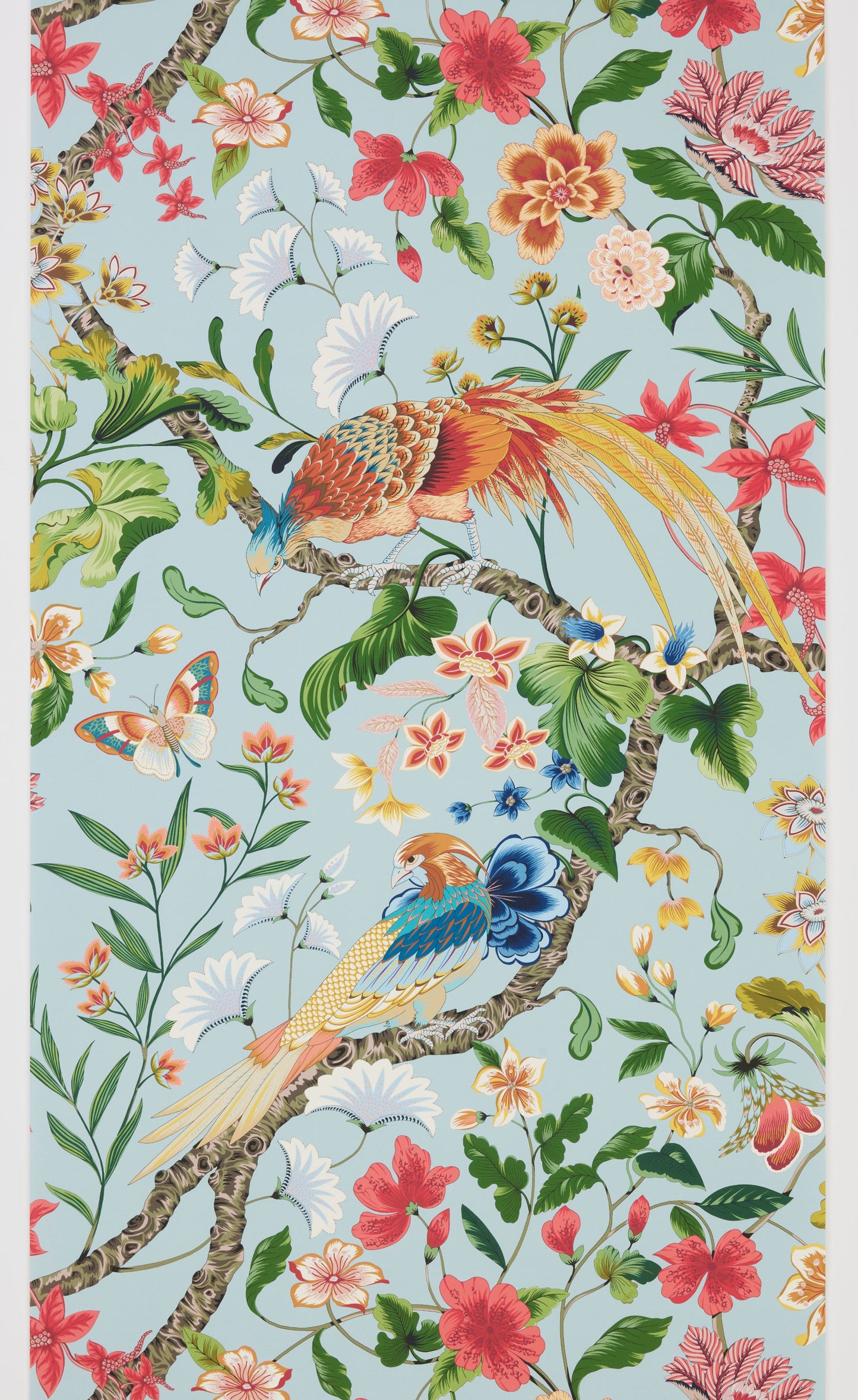 SCALAMANDRE BOTANY BAY - WALLCOVERING BIRD , ANIMAL
BOTANICAL , FOLIAGE
FLORAL SKY MULTI - WJR00016822D NEW SKU # WJR6822D0001