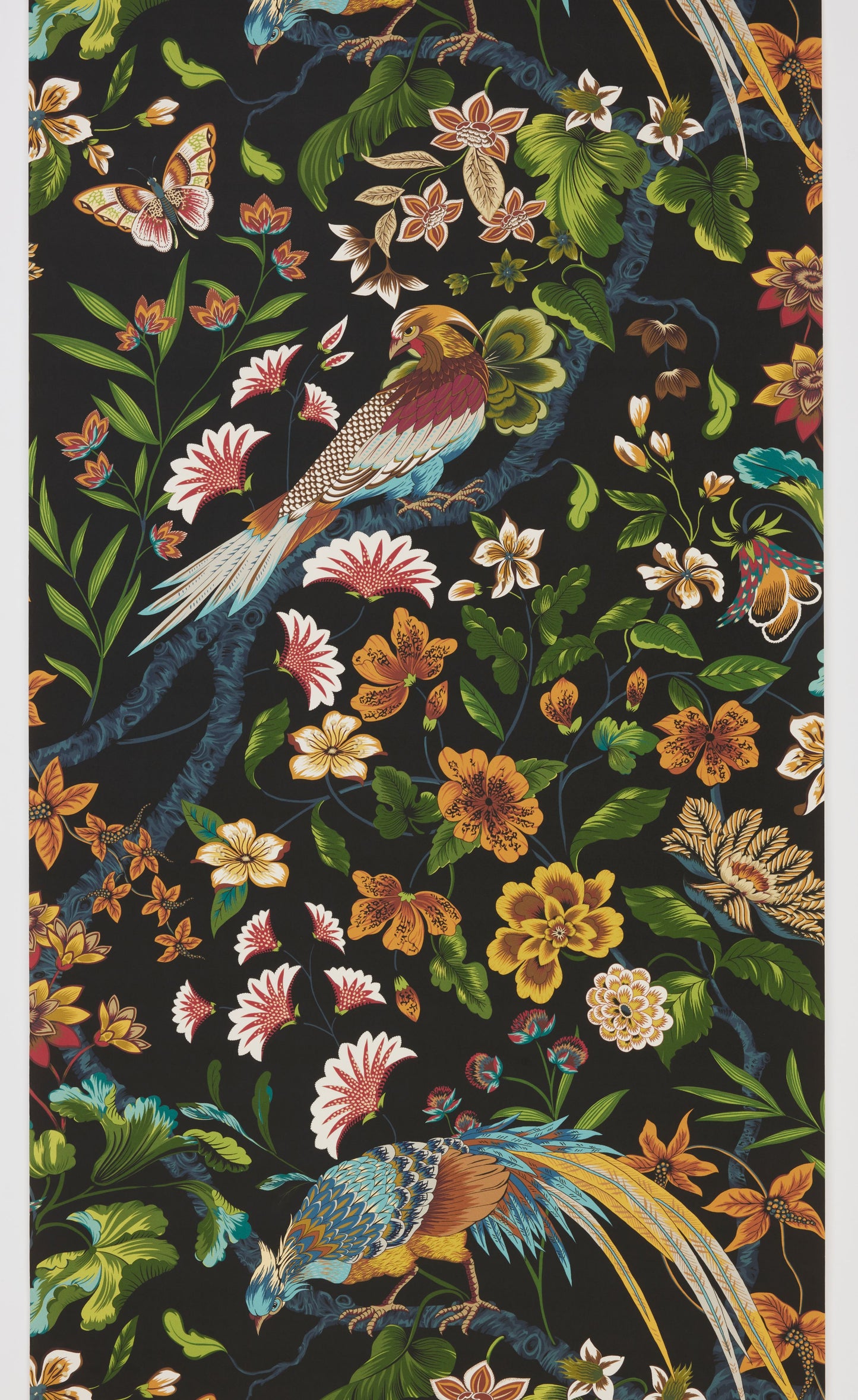 SCALAMANDRE BOTANY BAY - WALLCOVERING BIRD , ANIMAL
BOTANICAL , FOLIAGE
FLORAL BLACK RUBY - WJR00026822D NEW SKU # WJR6822D0002