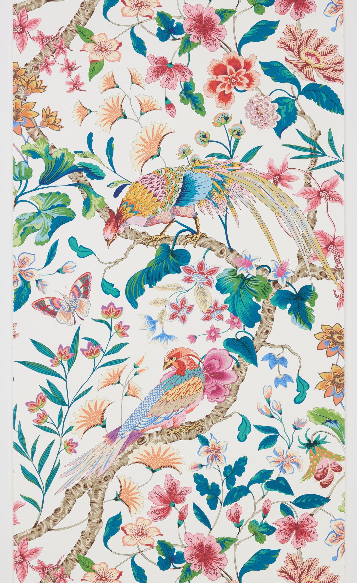 SCALAMANDRE BOTANY BAY - WALLCOVERING BIRD , ANIMAL
BOTANICAL , FOLIAGE
FLORAL PERENNIAL GARDEN - WJR00056822D NEW SKU # WJR6822D0005