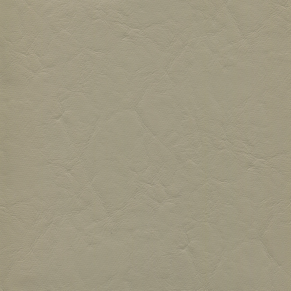 NICHOLASJOHN INC NJ-ZANDI Puma Solid Fabric - NJ25-3858