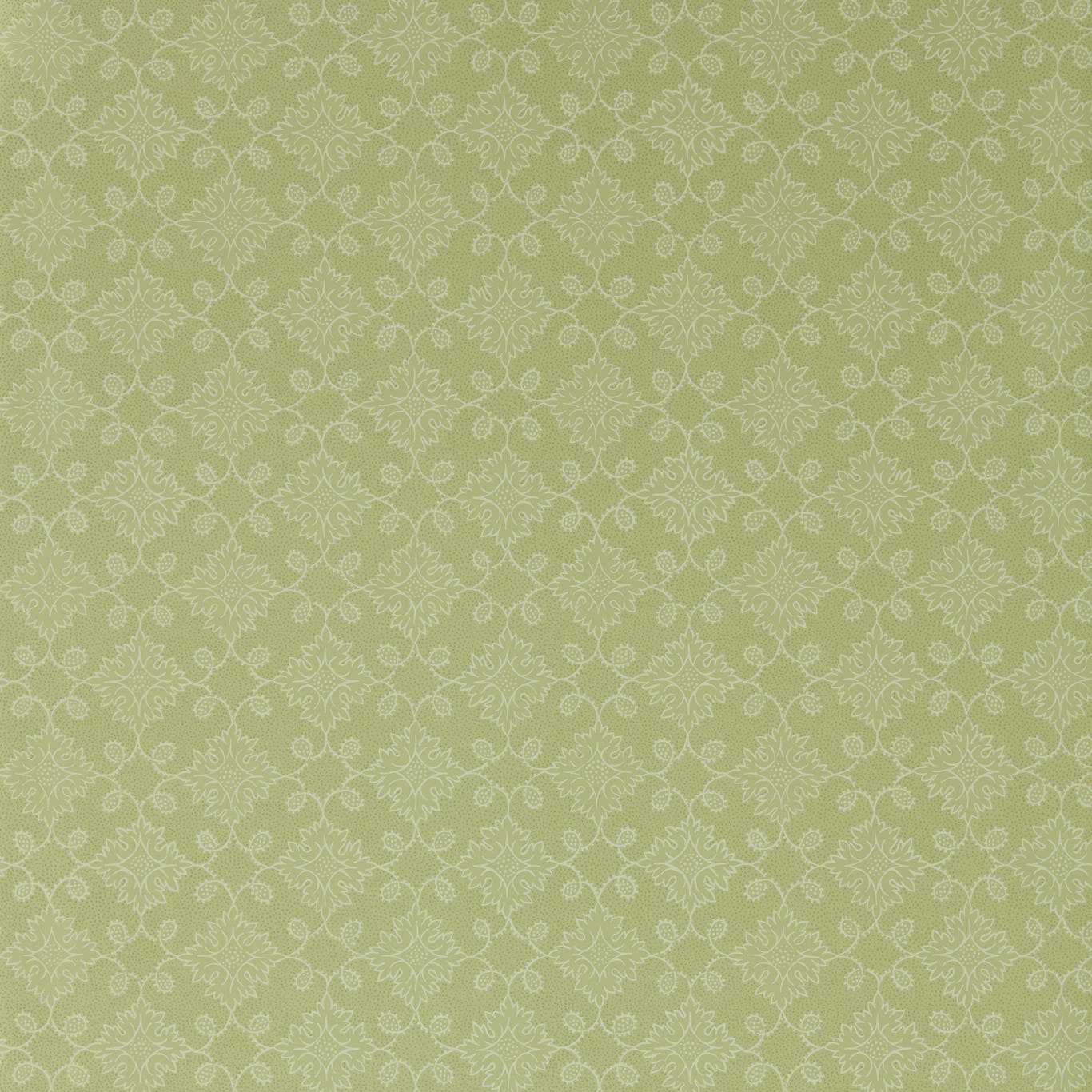 ZOFFANY Floral Tracery Wallpaper Geometric Fennel Flexo-Printed Wallpaper - ZEND313089