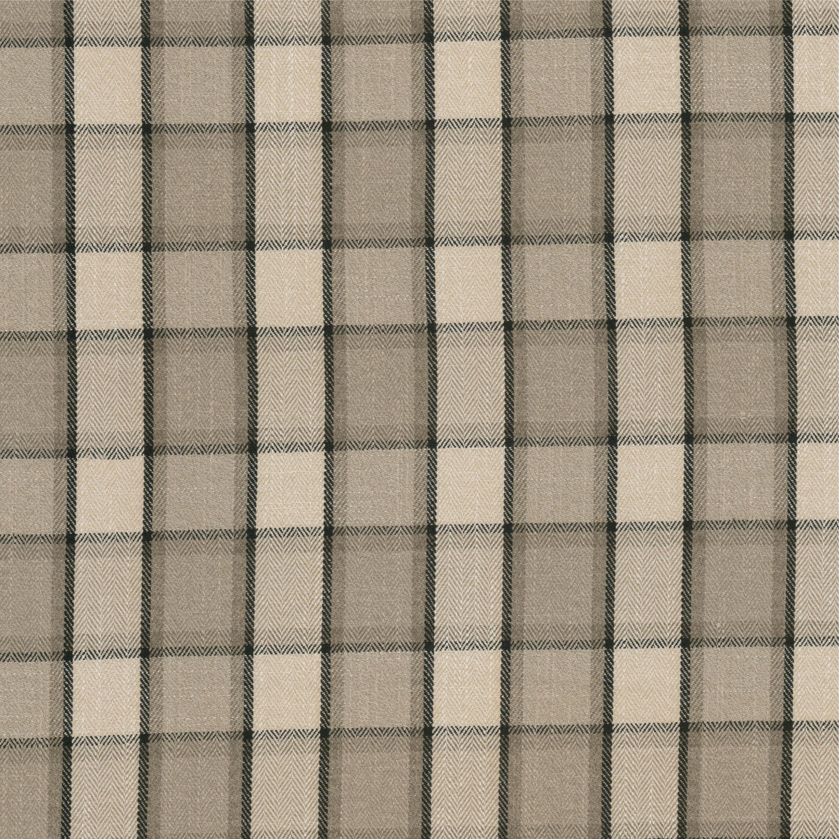 STOUT TEXTILES MULTIPURPOSE,WOVENS TRADITIONAL, PLAID/CHECK BLACK/CAMEL - ZEPH-1