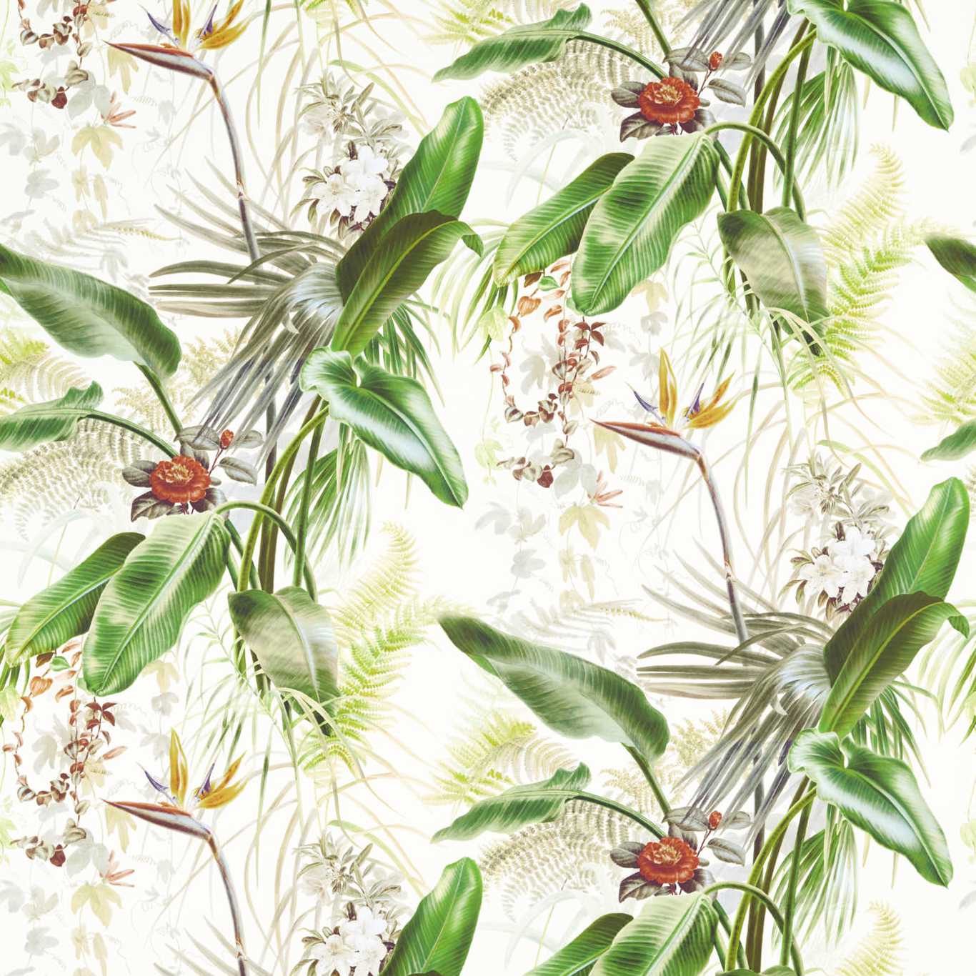 ZOFFANY Paradise Row Fabric Leaves , Trees Evergreen - ZHIF322722