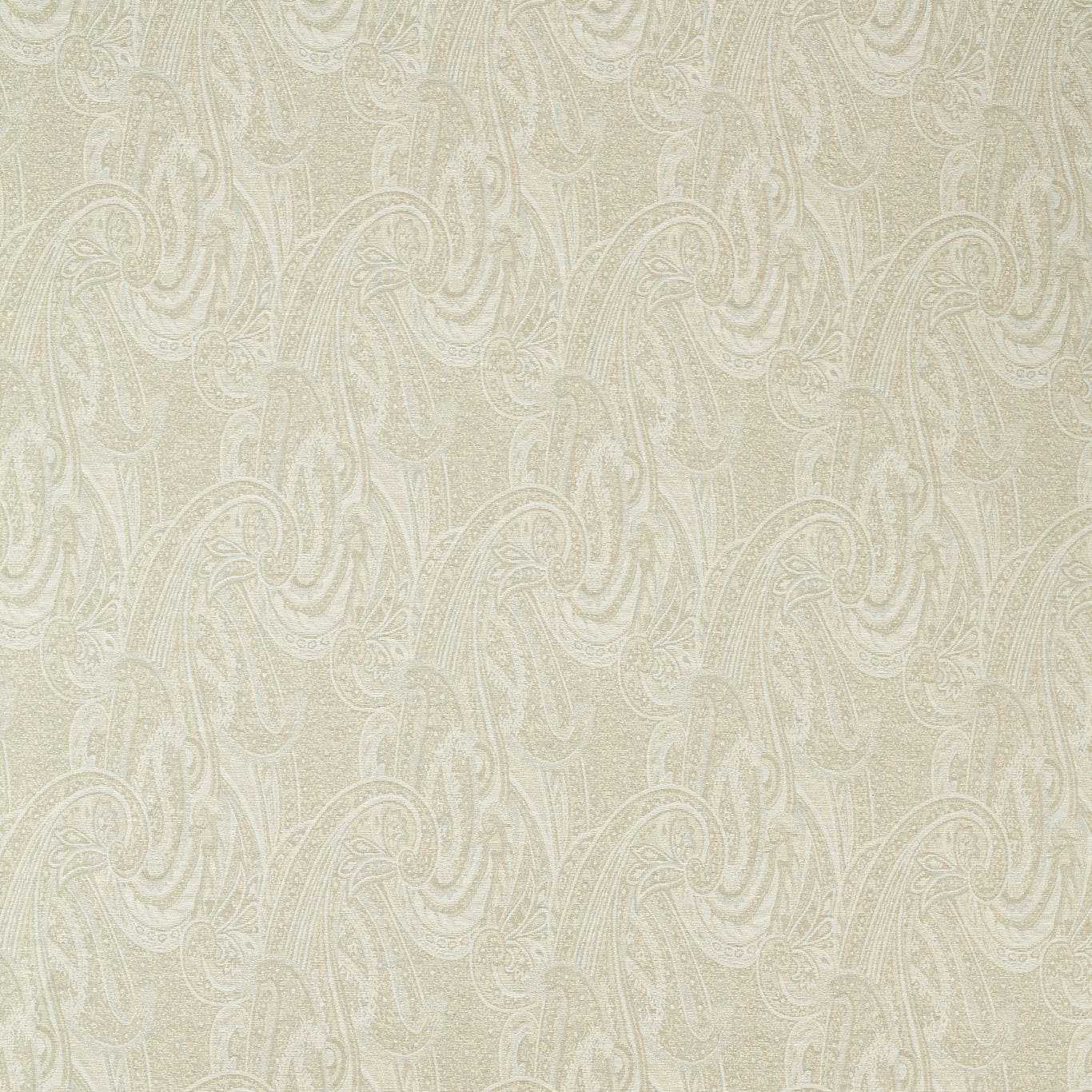 ZOFFANY Clyde Paisley Fabric Abstract , Graphic Mineral - ZRTX333540