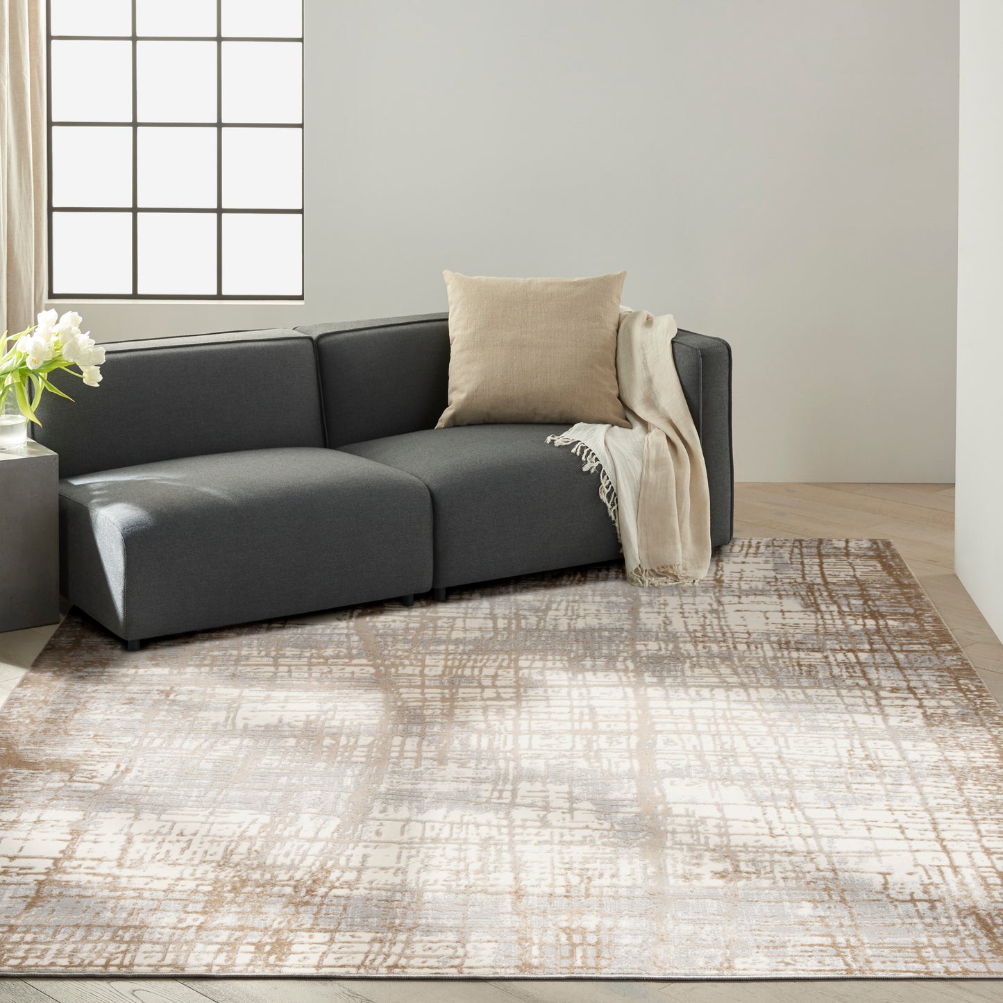 Patterned beige rug in a bright living room