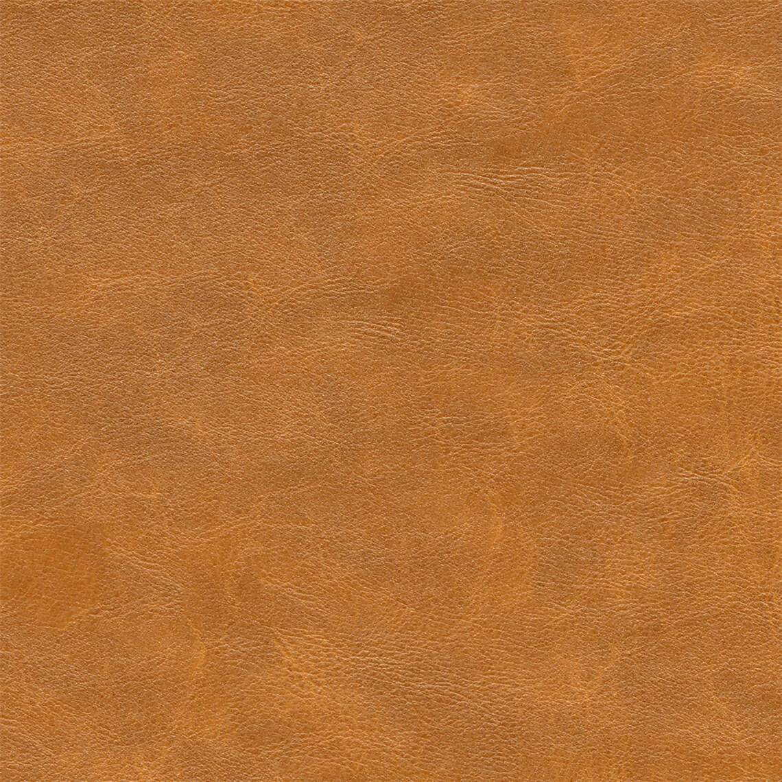 Architex Dakota Trailblazer