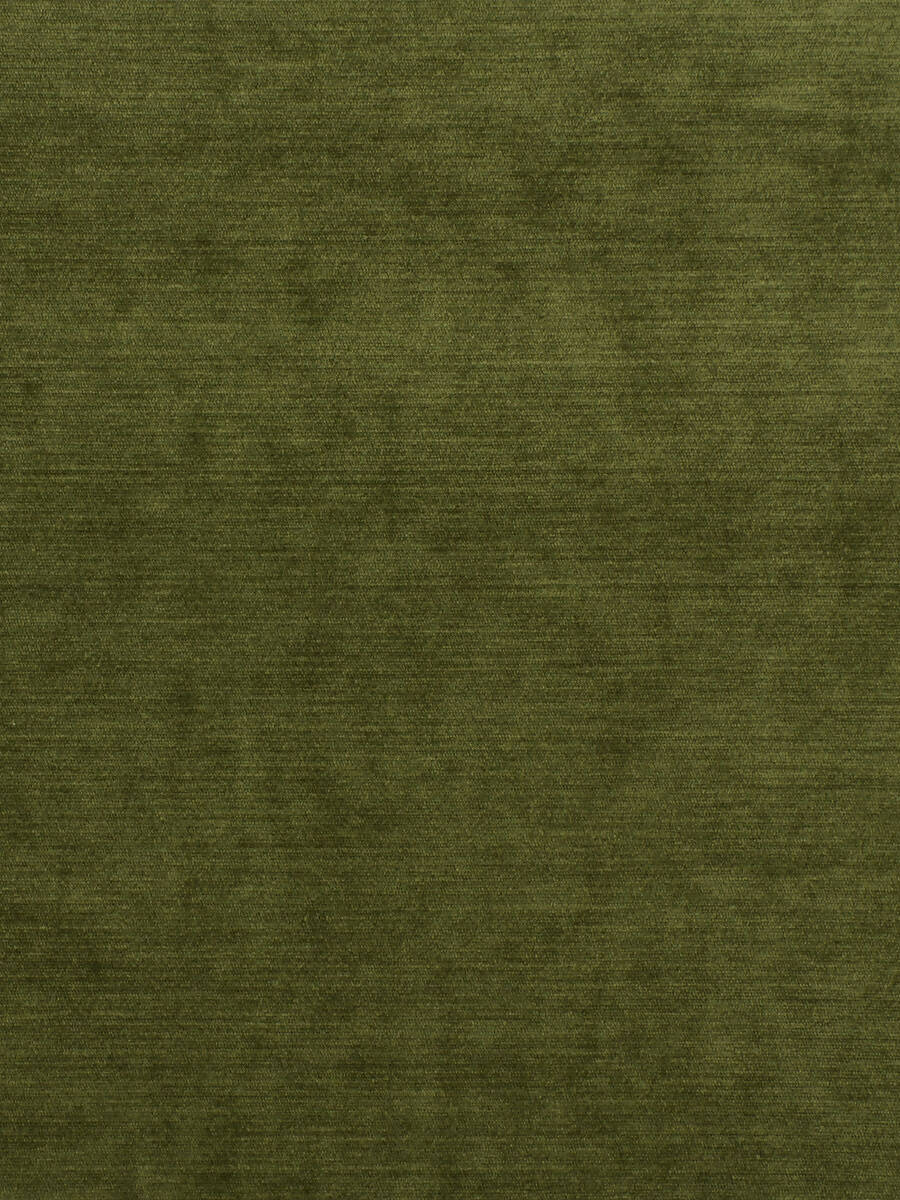 Remnant of Fabricut Intrigue Olive (3.3yds)