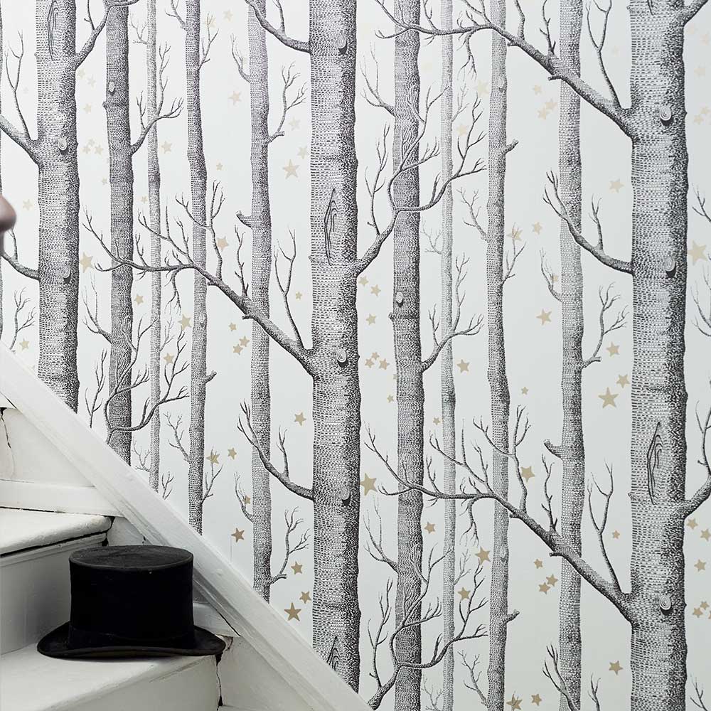 Unveiling the Legacy: A Journey Through the History of Cole & Son Wallpaper