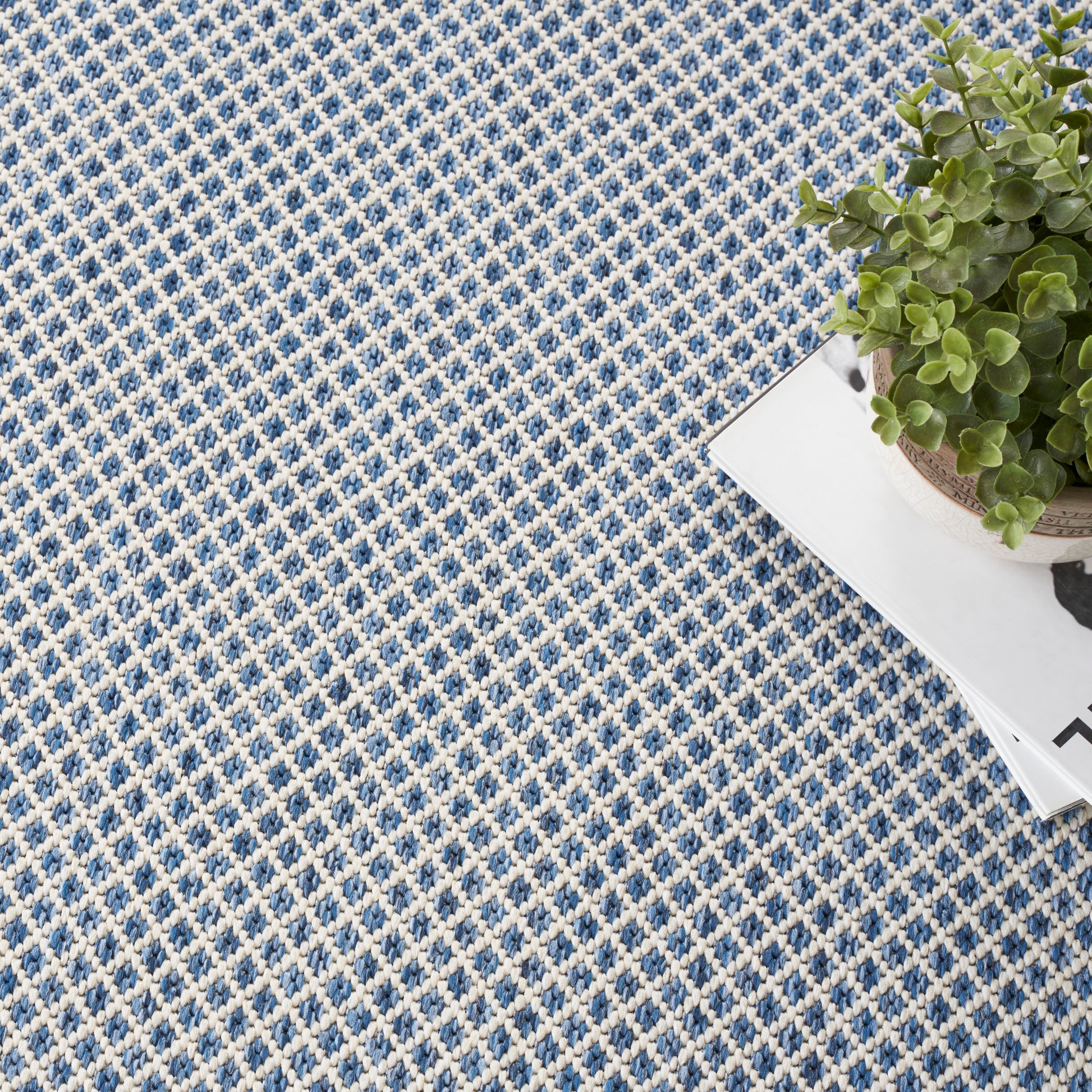 Blue and white woven rug with a diamond lattice pattern, small potted green plant on a white magazine.