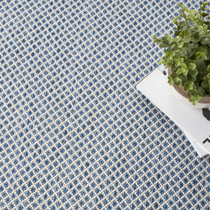 Blue and white woven rug with a diamond lattice pattern, small potted green plant on a white magazine.