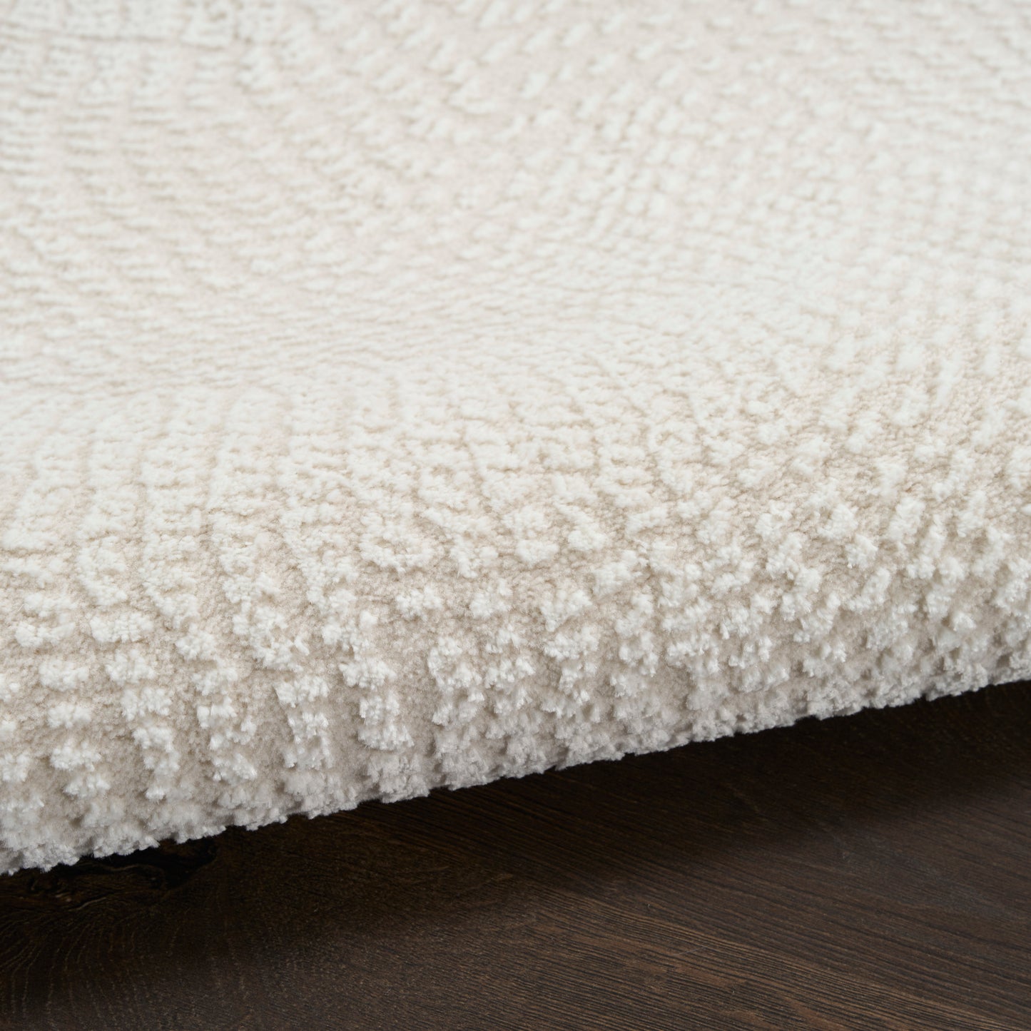 Close-up of ivory plush rug with soft loop pile on dark wood floor; edge visible.