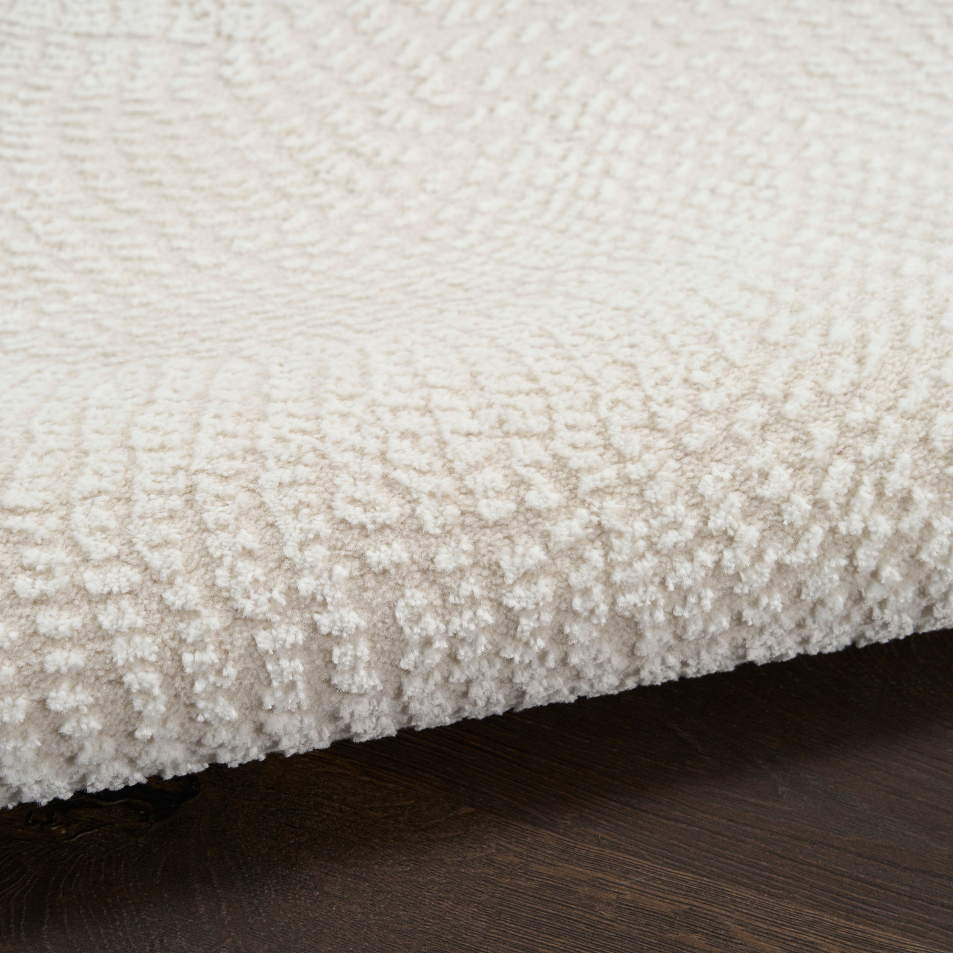 Close-up of ivory plush rug with soft loop pile on dark wood floor; edge visible.