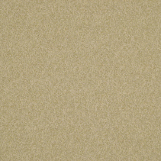 Robert Allen Nasuto | Pear  Upholstery     - 012647