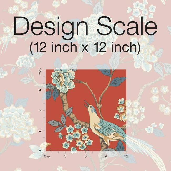 York Wallcoverings Black and White, III Fanciful Orange Wallpaper  Animals Oranges  Wallpaper - AF1902