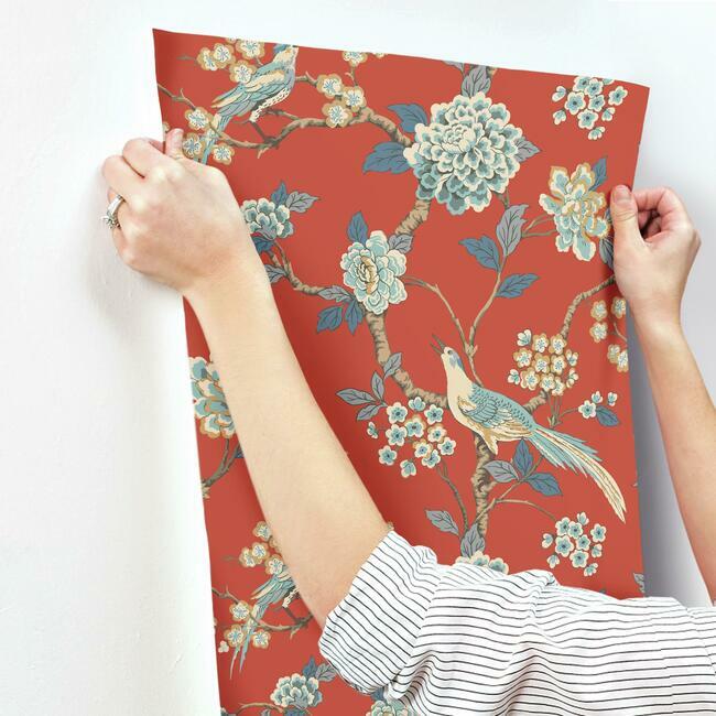 York Wallcoverings Black and White, III Fanciful Orange Wallpaper  Animals Oranges  Wallpaper - AF1902