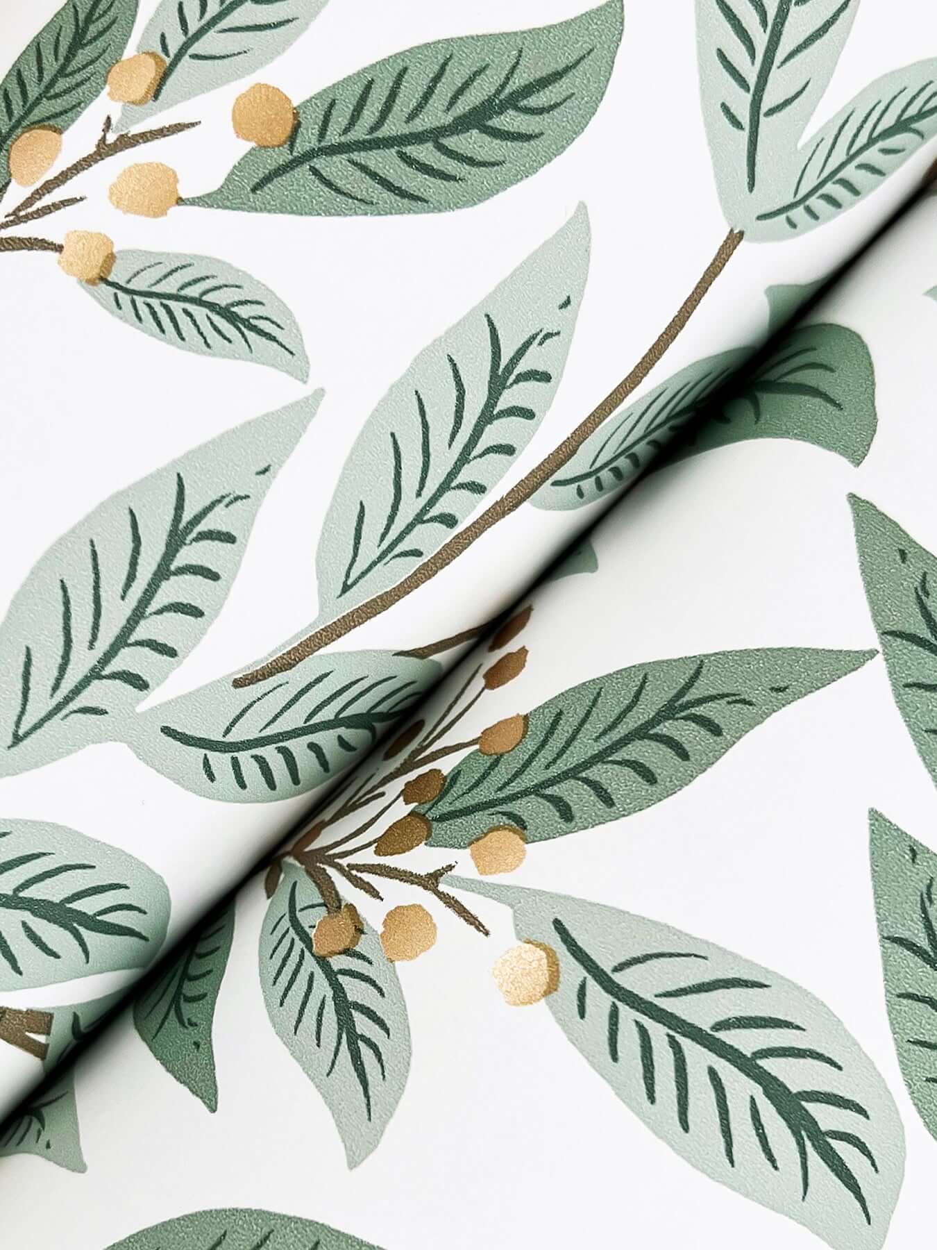 Luxury Rifle Paper Co Willowberry Wallpaper in Sage and White featuring botanical vines, leafy greenery, and metallic berry accents. Elegant sage green designer wallpaper for bedrooms, living rooms, dining rooms, nurseries, powder rooms, and accent walls. Premium non-woven floral wallcovering ideal for cottagecore, modern farmhouse, vintage-inspired, and upscale interior design spaces.
