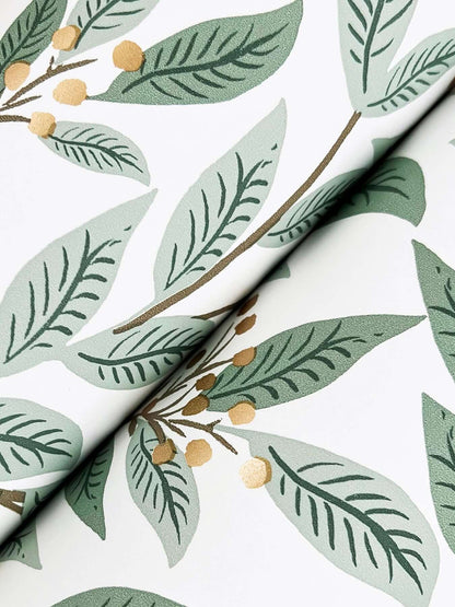 Luxury Rifle Paper Co Willowberry Wallpaper in Sage and White featuring botanical vines, leafy greenery, and metallic berry accents. Elegant sage green designer wallpaper for bedrooms, living rooms, dining rooms, nurseries, powder rooms, and accent walls. Premium non-woven floral wallcovering ideal for cottagecore, modern farmhouse, vintage-inspired, and upscale interior design spaces.