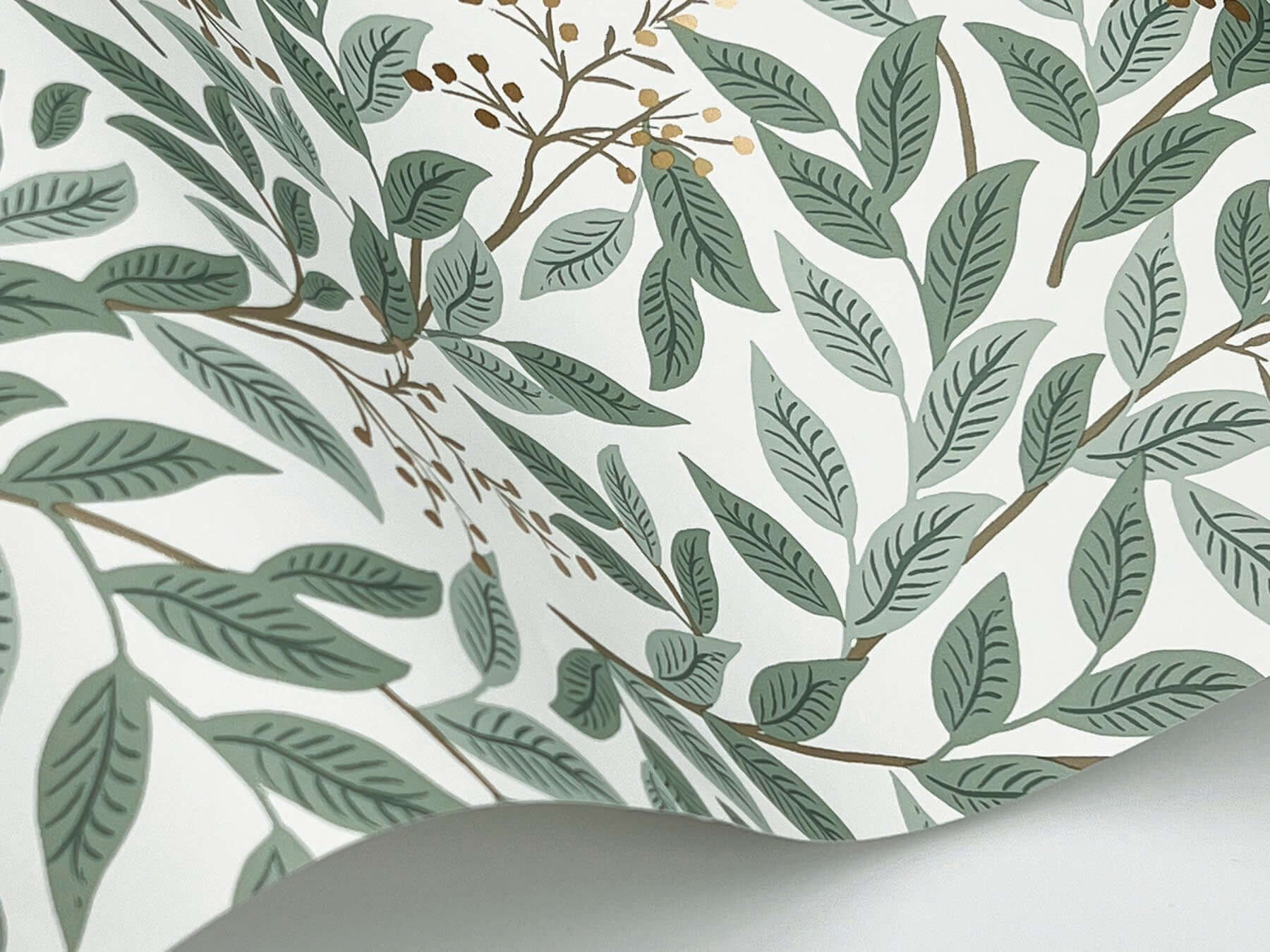 Luxury Rifle Paper Co Willowberry Wallpaper in Sage and White featuring botanical vines, leafy greenery, and metallic berry accents. Elegant sage green designer wallpaper for bedrooms, living rooms, dining rooms, nurseries, powder rooms, and accent walls. Premium non-woven floral wallcovering ideal for cottagecore, modern farmhouse, vintage-inspired, and upscale interior design spaces.
