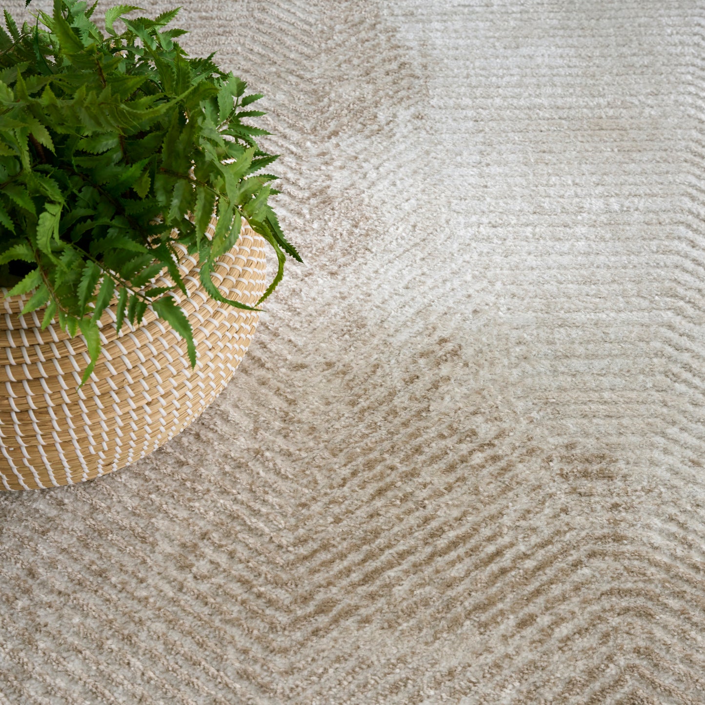 Green fern in a woven straw basket on a beige textured rug with subtle ridges.