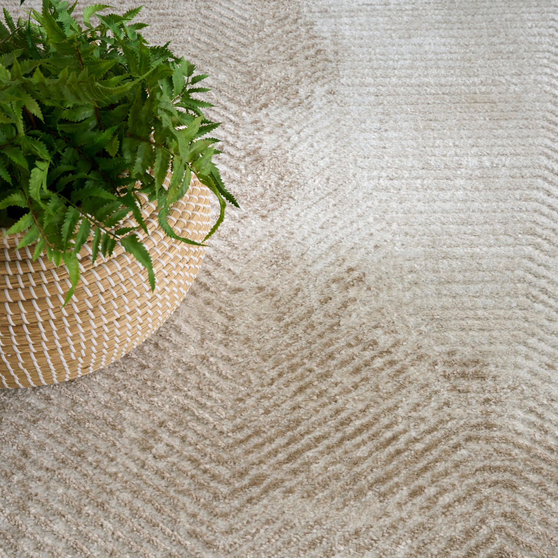 Green fern in a woven straw basket on a beige textured rug with subtle ridges.