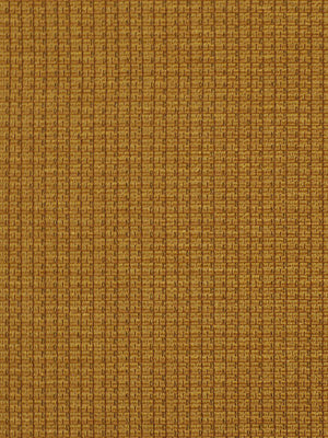 Robert Allen Blackwood | Mango  Upholstery     - 015510