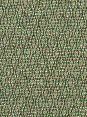 Robert Allen Manor Park | Emerald  Upholstery     - 015515