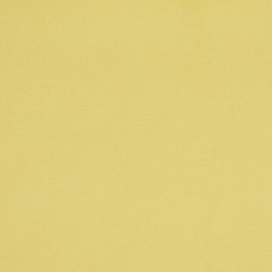 Robert Allen Lustre Sheen | Daffodil  Multipurpose     - 025784