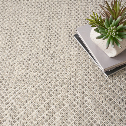 Beige textured carpet with a small stack of books and a green succulent in a white pot.