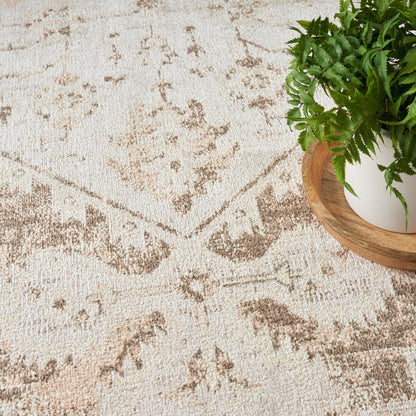 Beige distressed patterned rug with brown geometric motifs; green fern in white pot on a round wooden tray.