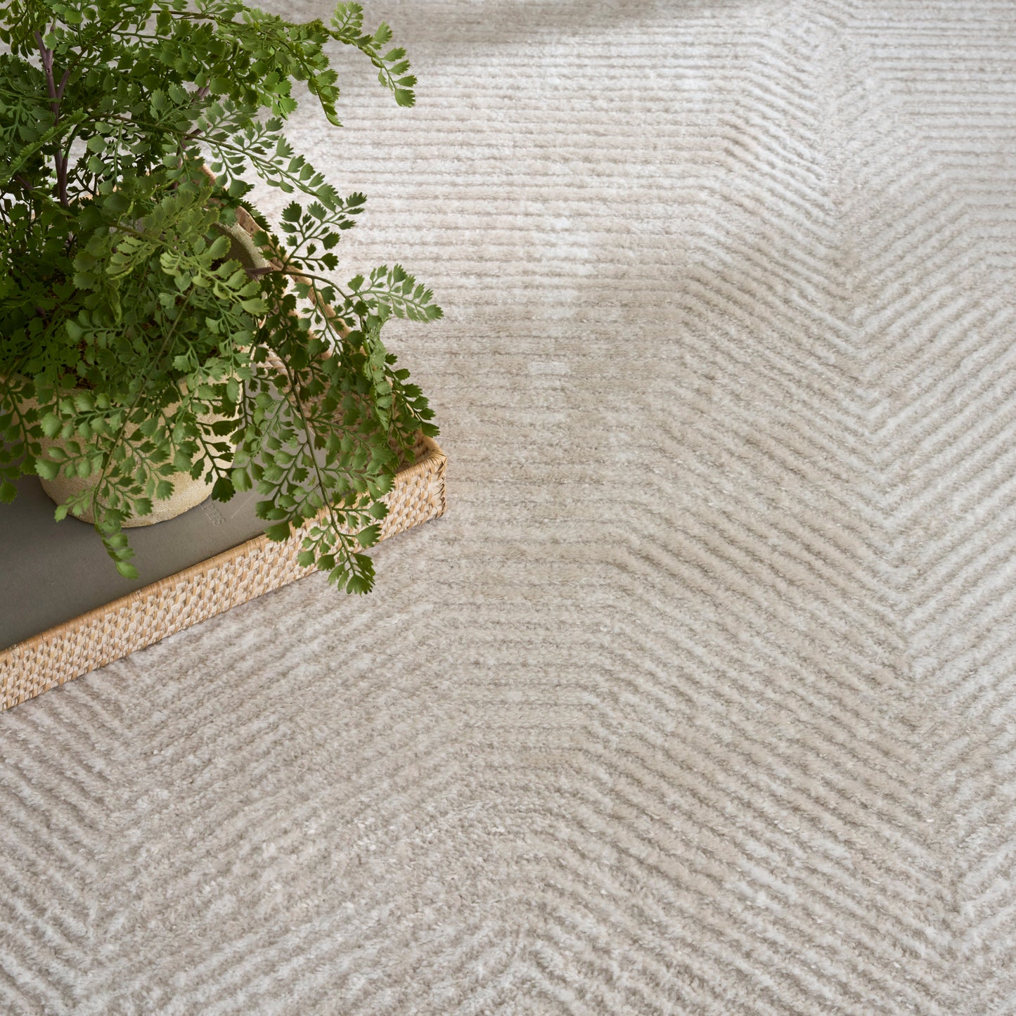 Green fern in a pot on a gray book with a woven mat, atop a light beige textured rug.