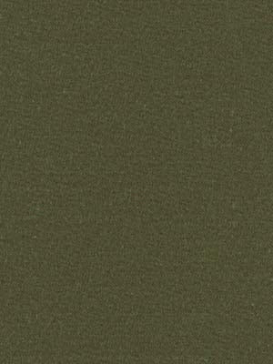 Olive green canvas fabric texture with subtle weave, durable textile look.
