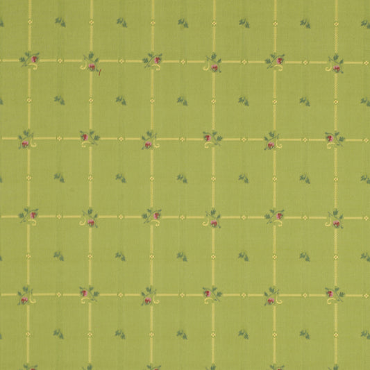 Robert Allen Persuade | Grass  Upholstery     - 047727