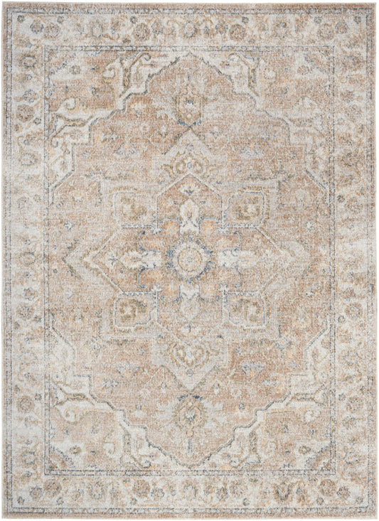 Neutral beige and ivory oriental area rug with a distressed central medallion and ornate border.